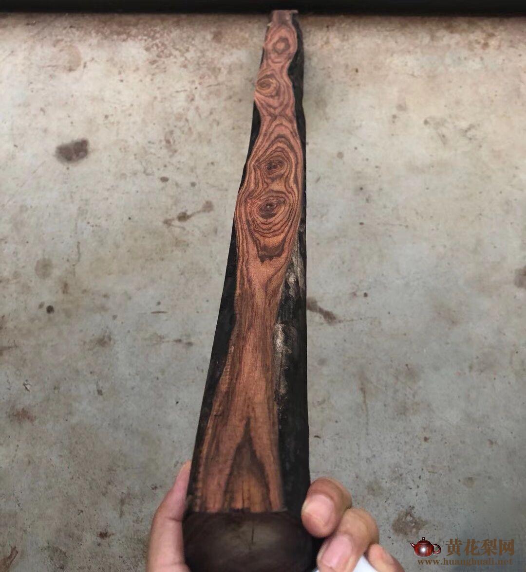 海南黄花梨老料原木